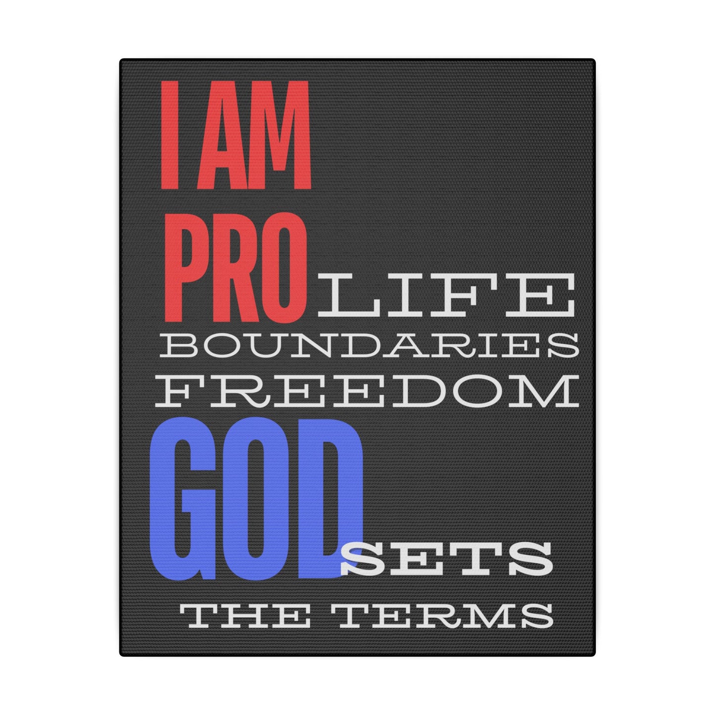 I AM PRO GOD, Matte Canvas, Stretched 0.75", wall art
