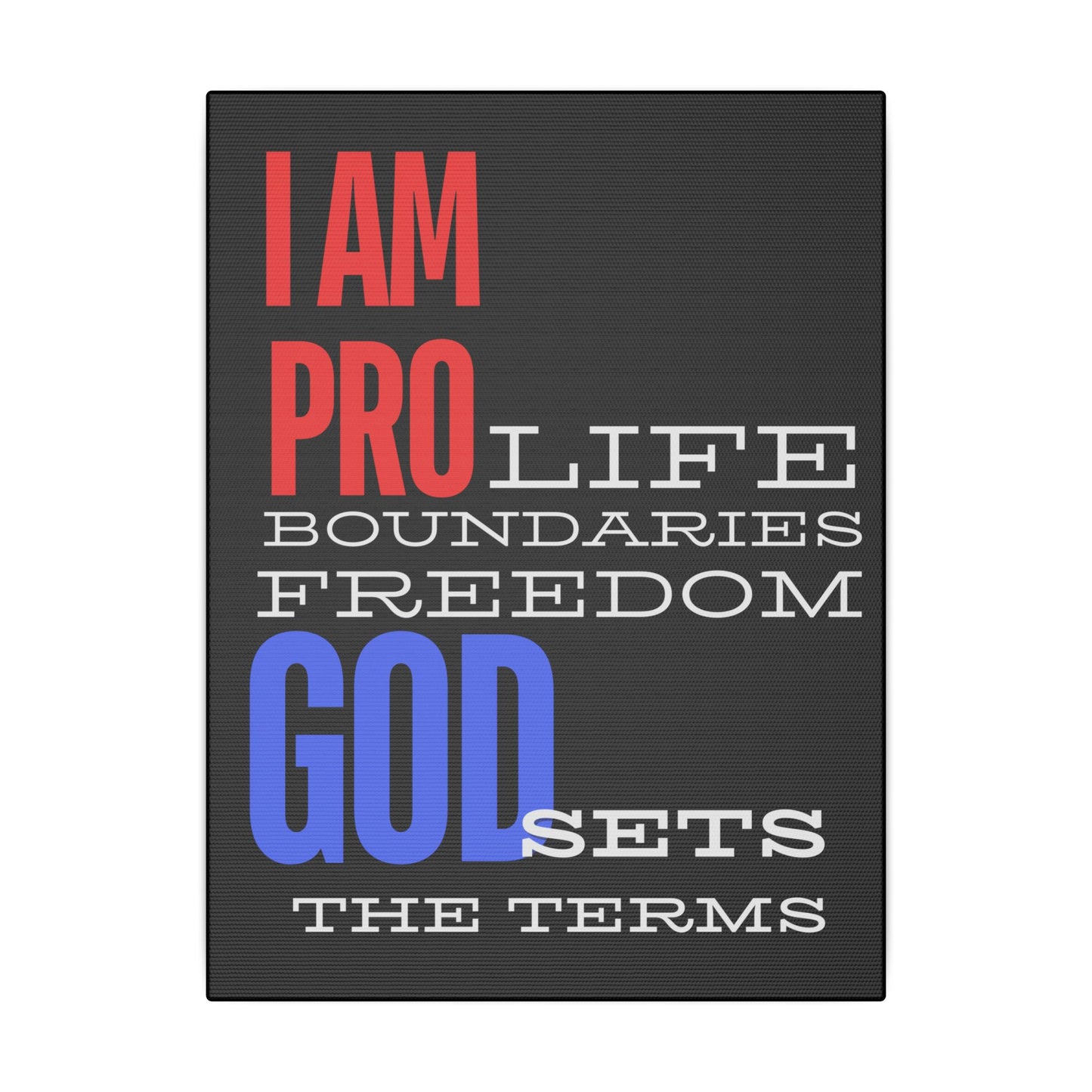 I AM PRO GOD, Matte Canvas, Stretched 0.75", wall art
