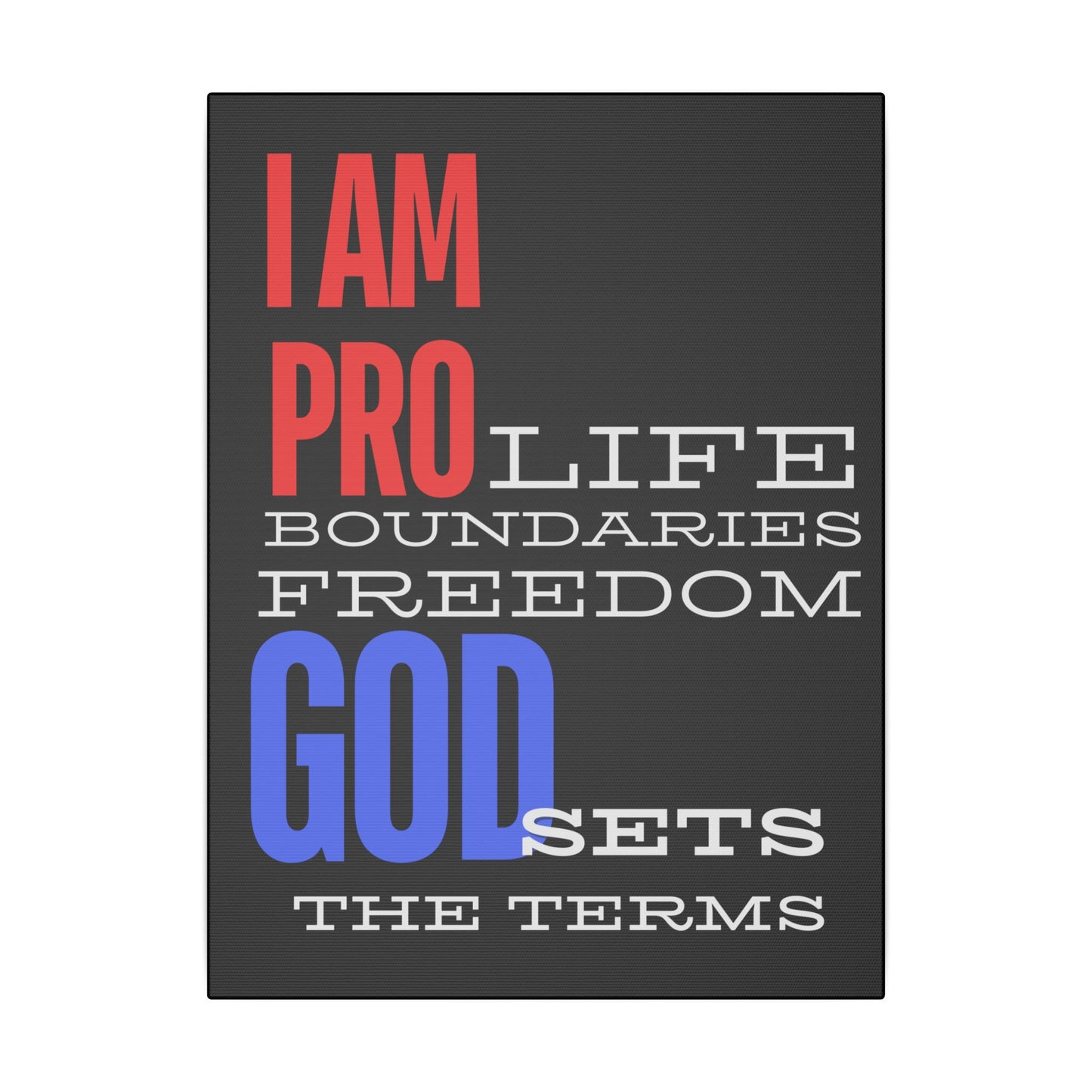 I AM PRO GOD, Matte Canvas, Stretched 0.75", wall art
