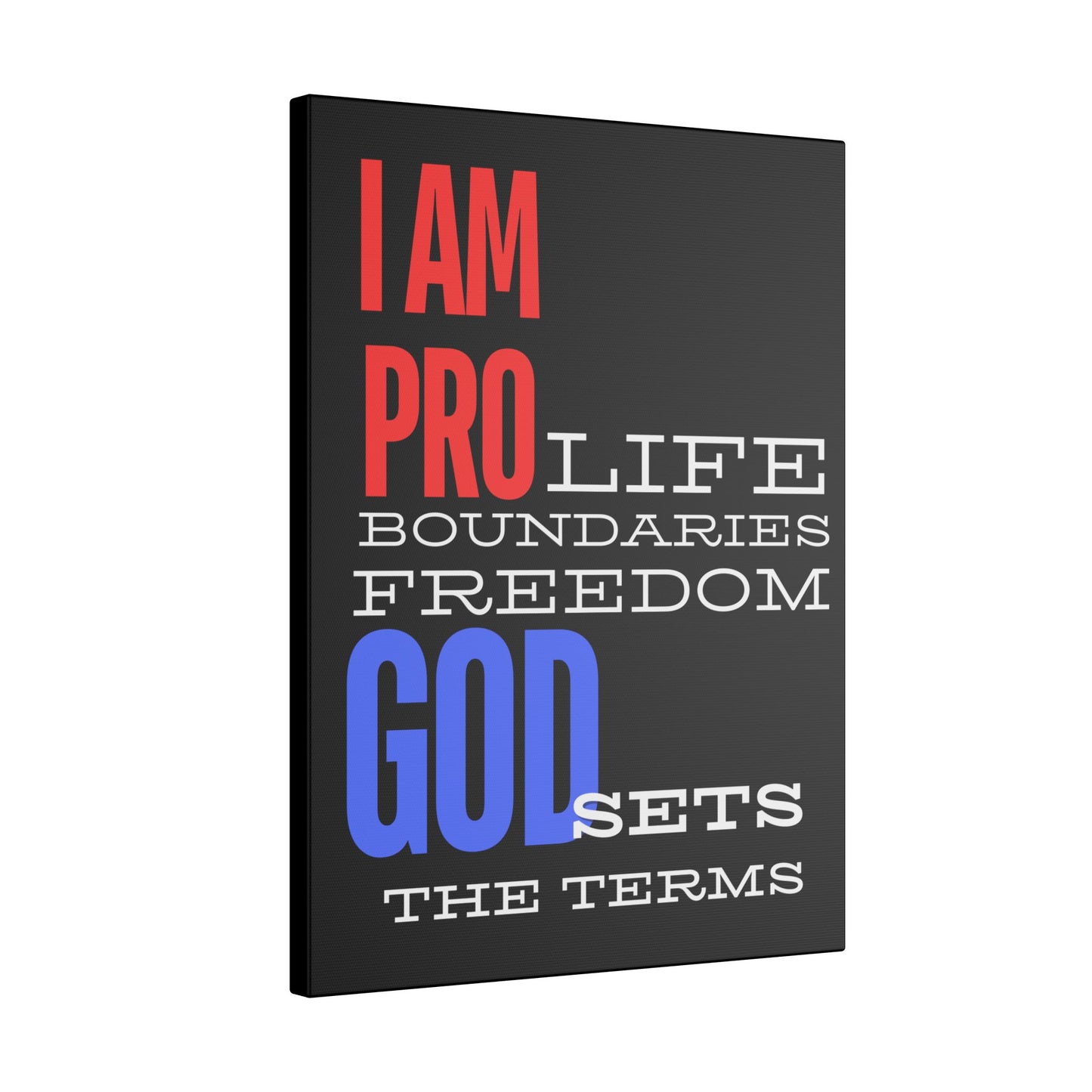 I AM PRO GOD, Matte Canvas, Stretched 0.75", wall art