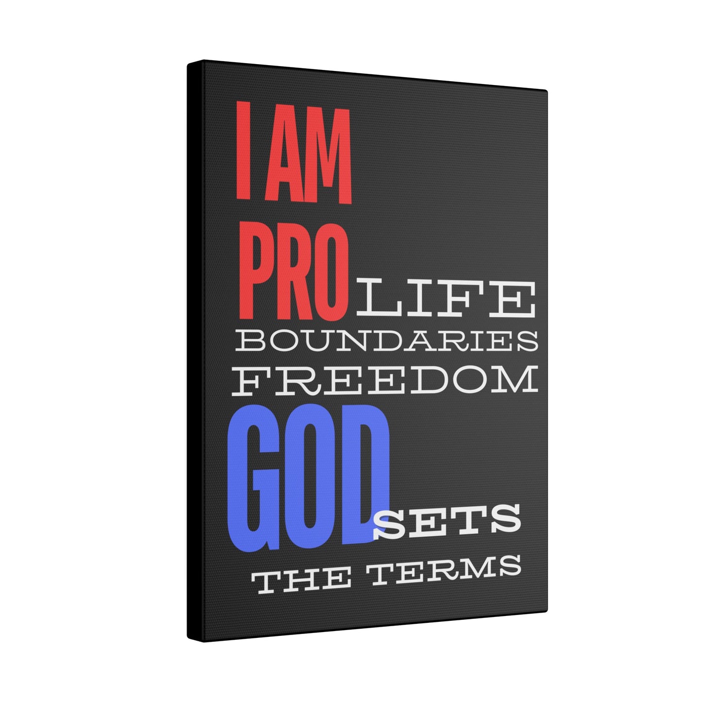 I AM PRO GOD, Matte Canvas, Stretched 0.75", wall art