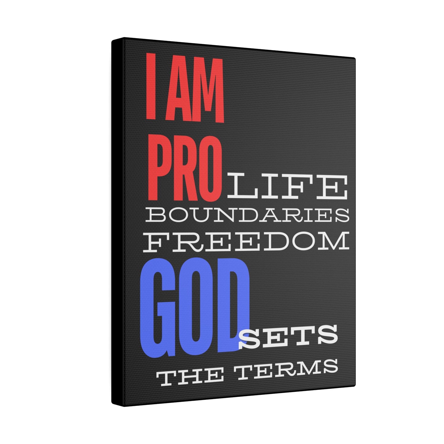 I AM PRO GOD, Matte Canvas, Stretched 0.75", wall art