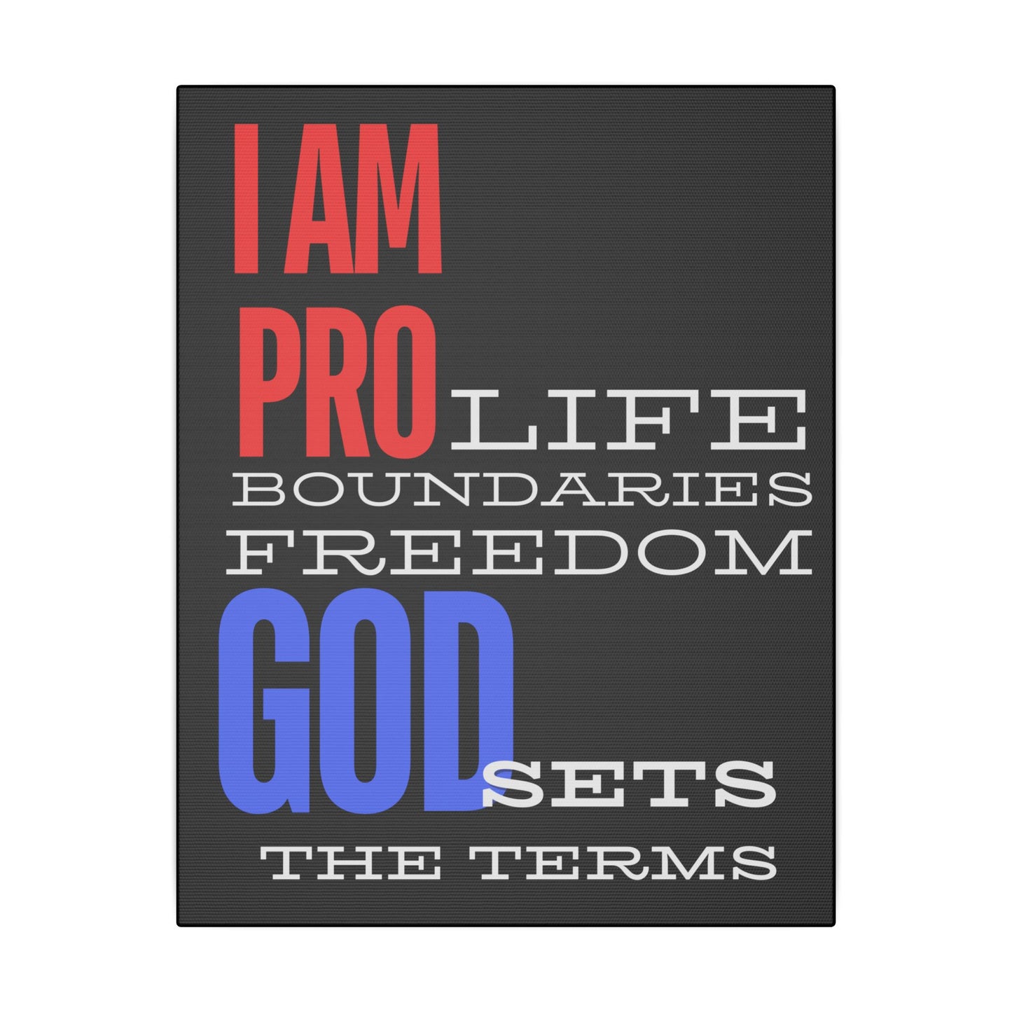 I AM PRO GOD, Matte Canvas, Stretched 0.75", wall art