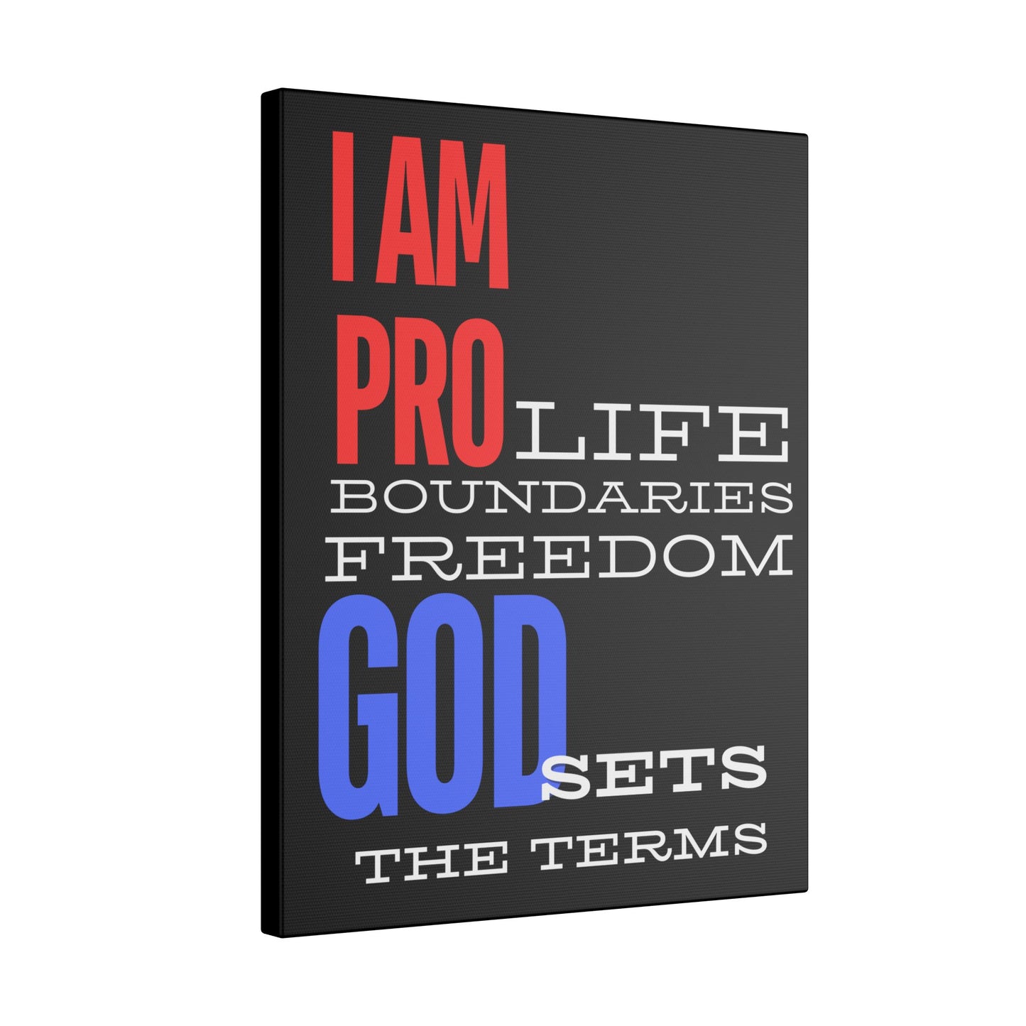 I AM PRO GOD, Matte Canvas, Stretched 0.75", wall art