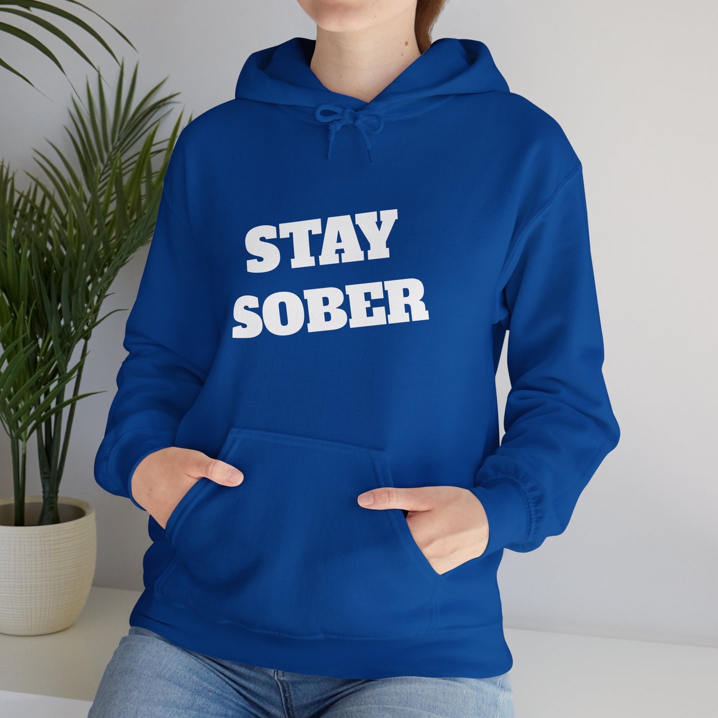 Stay Sober Hooded Sweatshirt, Christian gift, encouragement