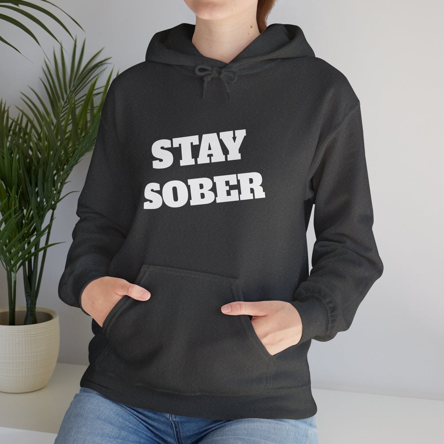 Stay Sober Hooded Sweatshirt, Christian gift, encouragement