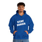 Stay Sober Hooded Sweatshirt, Christian gift, encouragement