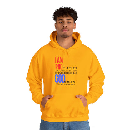 I AM PRO GOD, Unisex Heavy Blend™ Hooded Sweatshirt, life, boundaries, freedom