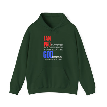 I AM PRO GOD, Unisex Heavy Blend™ Hooded Sweatshirt, life, boundaries, freedom