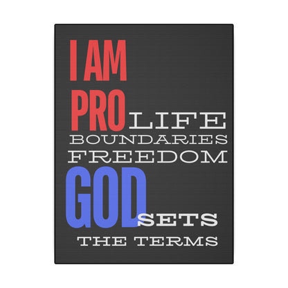 I AM PRO GOD, Matte Canvas, Stretched 0.75", wall art