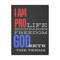 I AM PRO GOD, Matte Canvas, Stretched 0.75", wall art