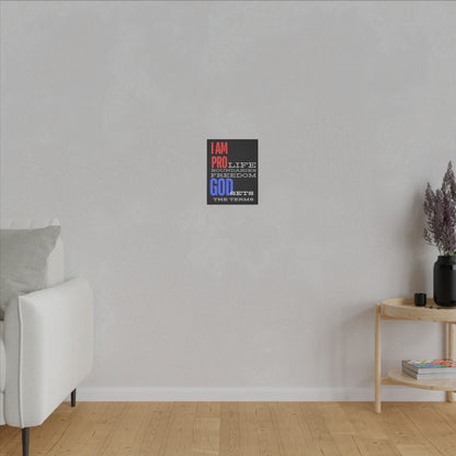 I AM PRO GOD, Matte Canvas, Stretched 0.75", wall art