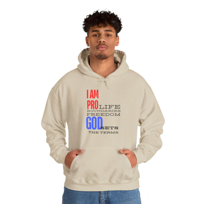 I AM PRO GOD, Unisex Heavy Blend™ Hooded Sweatshirt, life, boundaries, freedom