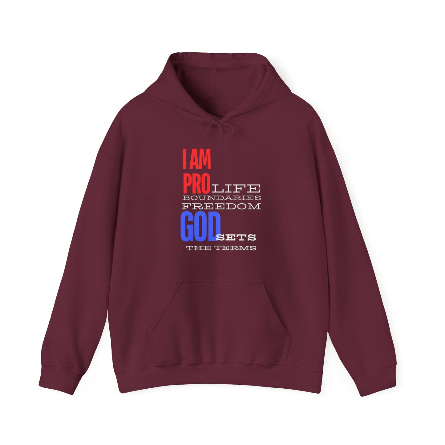 I AM PRO GOD, Unisex Heavy Blend™ Hooded Sweatshirt, life, boundaries, freedom