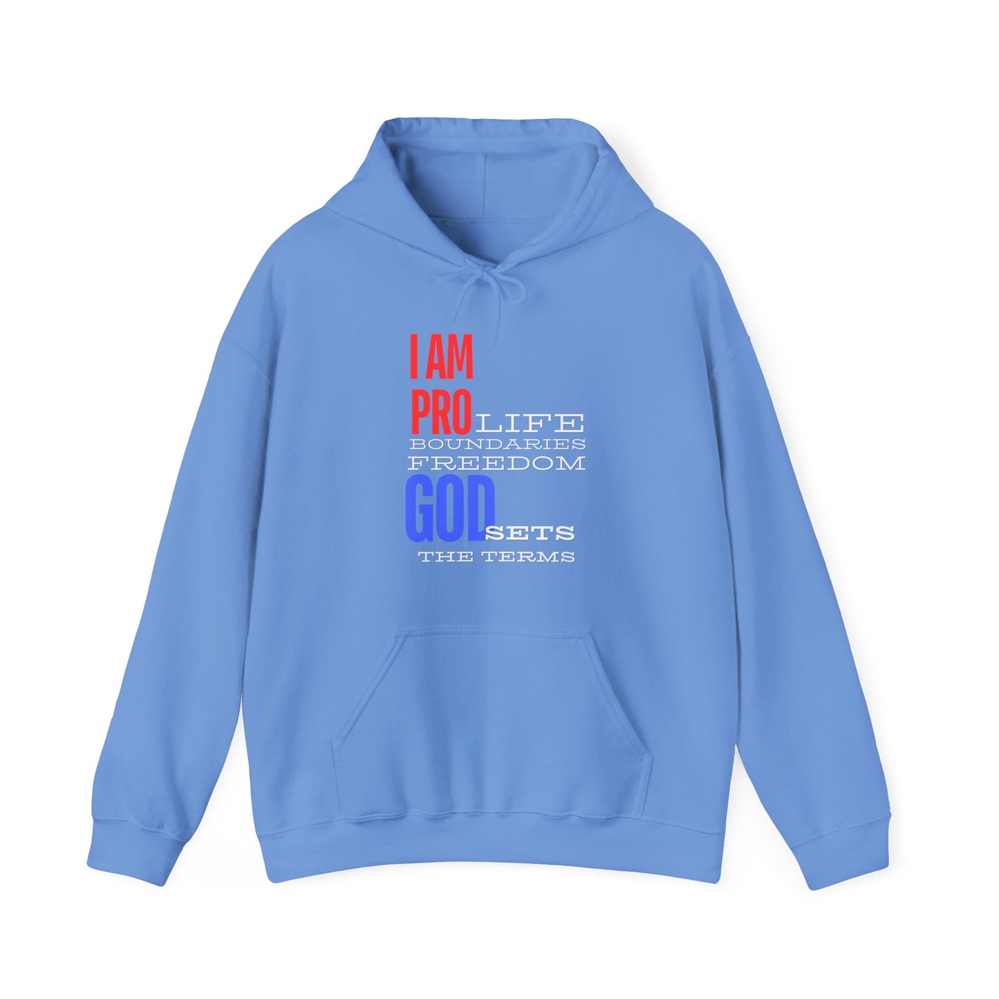 I AM PRO GOD, Unisex Heavy Blend™ Hooded Sweatshirt, life, boundaries, freedom