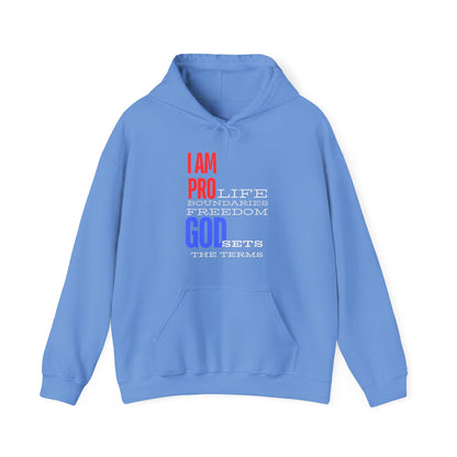 I AM PRO GOD, Unisex Heavy Blend™ Hooded Sweatshirt, life, boundaries, freedom