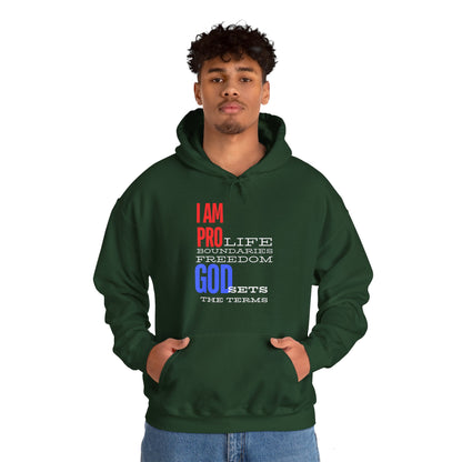 I AM PRO GOD, Unisex Heavy Blend™ Hooded Sweatshirt, life, boundaries, freedom