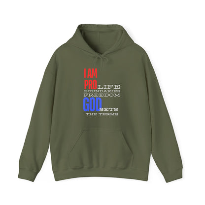 I AM PRO GOD, Unisex Heavy Blend™ Hooded Sweatshirt, life, boundaries, freedom
