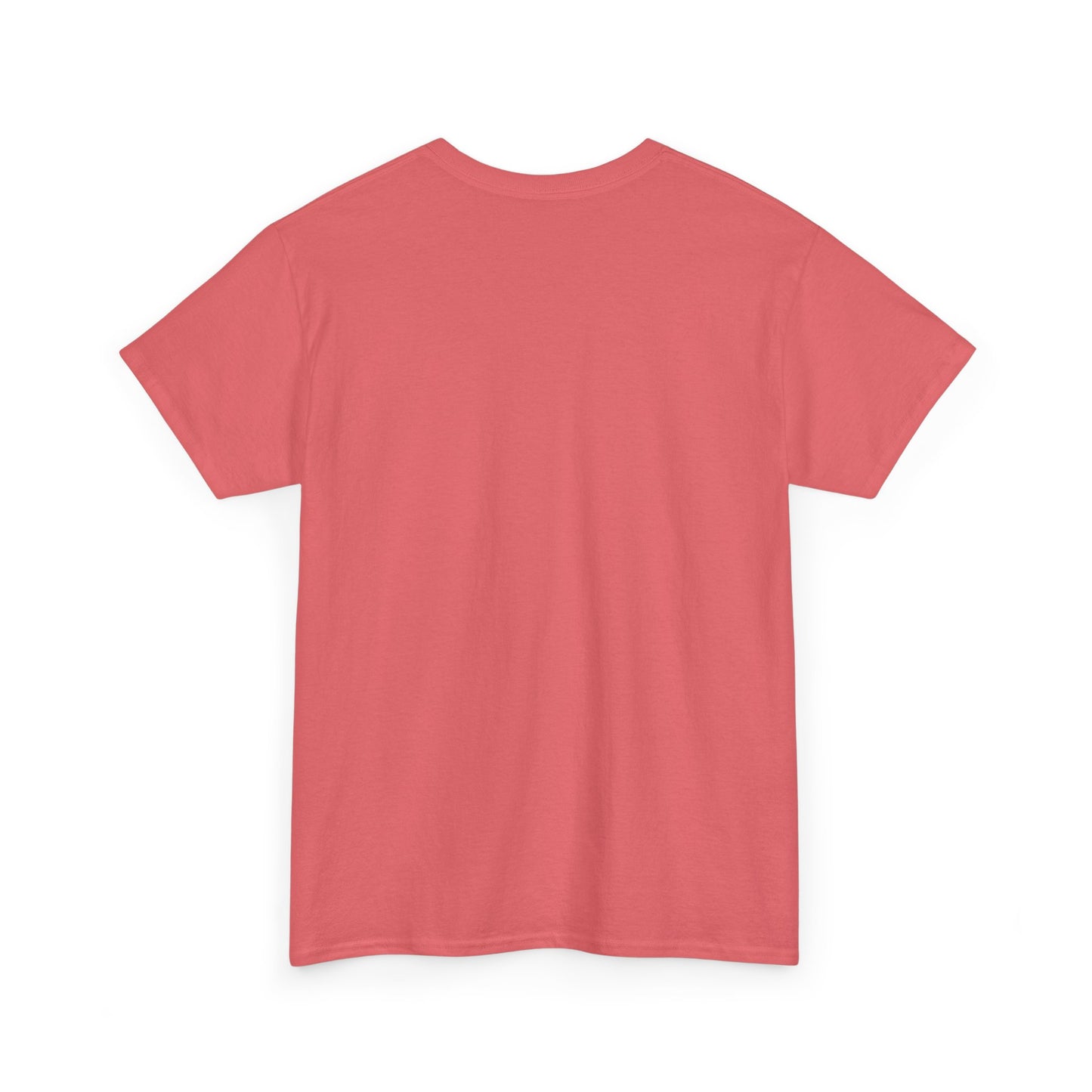 Fun in the Sun Unisex Heavy Cotton Tee, vacation, beach day, weekend getaway