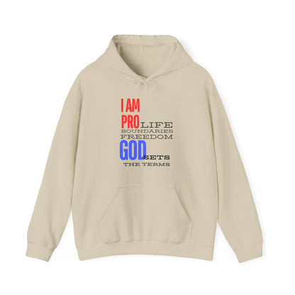 I AM PRO GOD, Unisex Heavy Blend™ Hooded Sweatshirt, life, boundaries, freedom