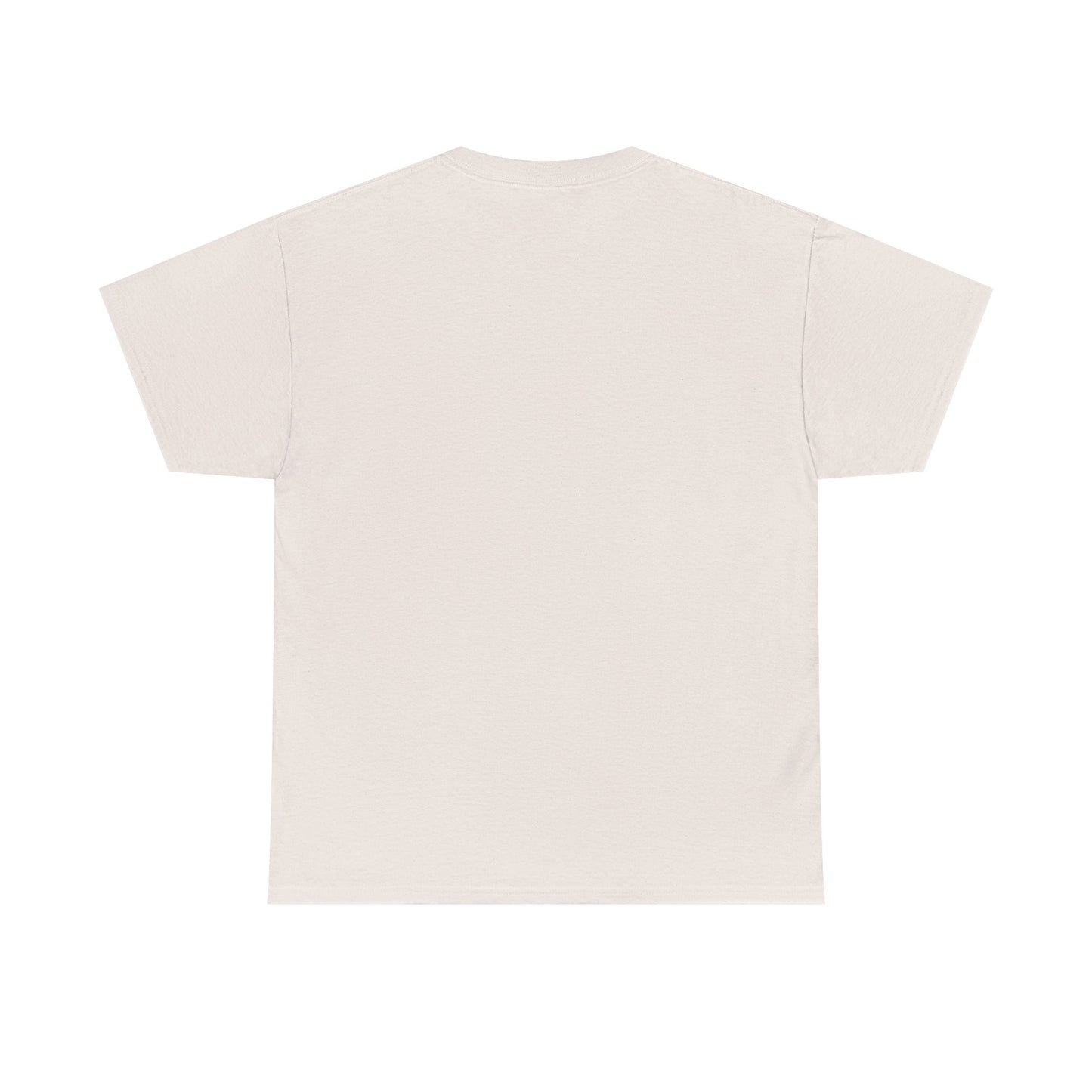 Fun in the Sun Unisex Heavy Cotton Tee, vacation, beach day, weekend getaway