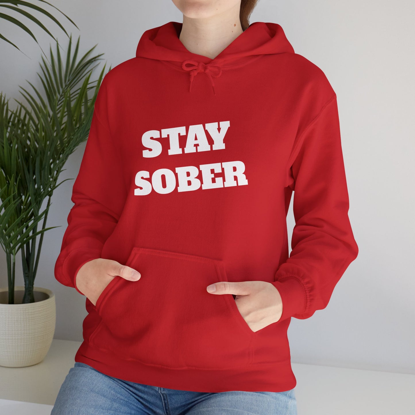 Stay Sober Hooded Sweatshirt, Christian gift, encouragement