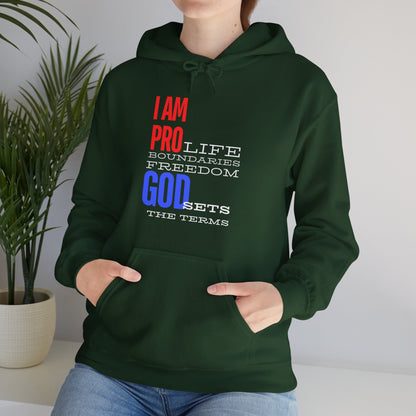 I AM PRO GOD, Unisex Heavy Blend™ Hooded Sweatshirt, life, boundaries, freedom
