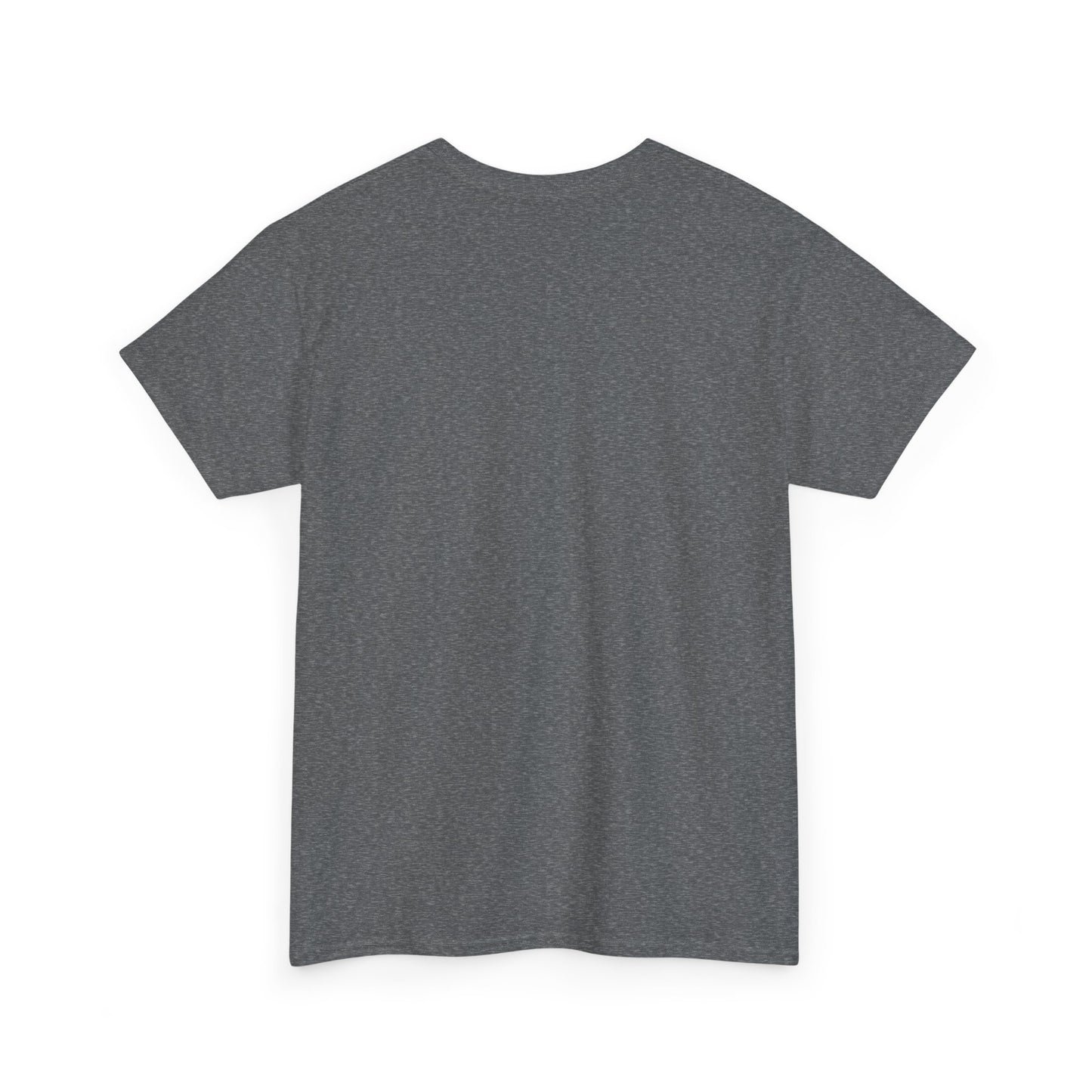 Fun in the Sun Unisex Heavy Cotton Tee, vacation, beach day, weekend getaway
