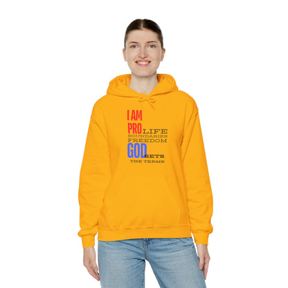 I AM PRO GOD, Unisex Heavy Blend™ Hooded Sweatshirt, life, boundaries, freedom