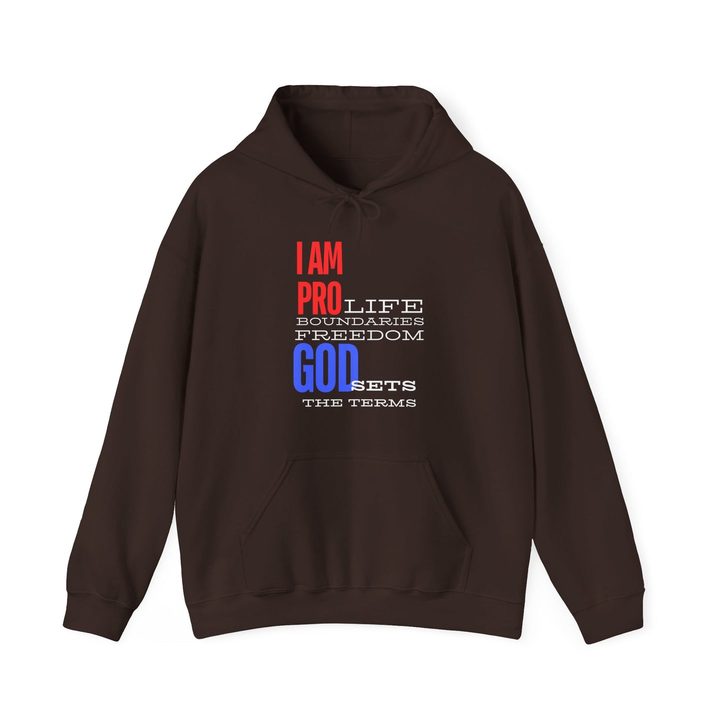 I AM PRO GOD, Unisex Heavy Blend™ Hooded Sweatshirt, life, boundaries, freedom