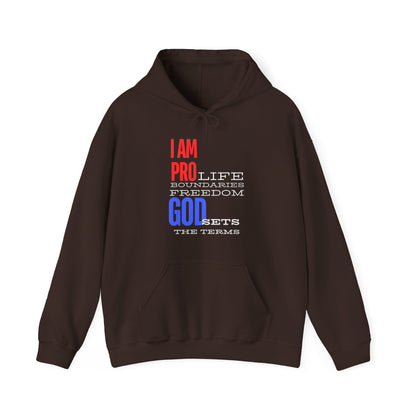 I AM PRO GOD, Unisex Heavy Blend™ Hooded Sweatshirt, life, boundaries, freedom