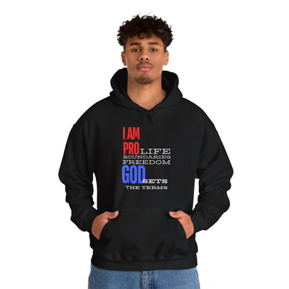 I AM PRO GOD, Unisex Heavy Blend™ Hooded Sweatshirt, life, boundaries, freedom