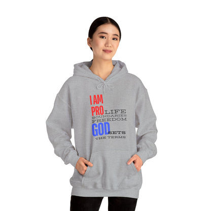 I AM PRO GOD, Unisex Heavy Blend™ Hooded Sweatshirt, life, boundaries, freedom