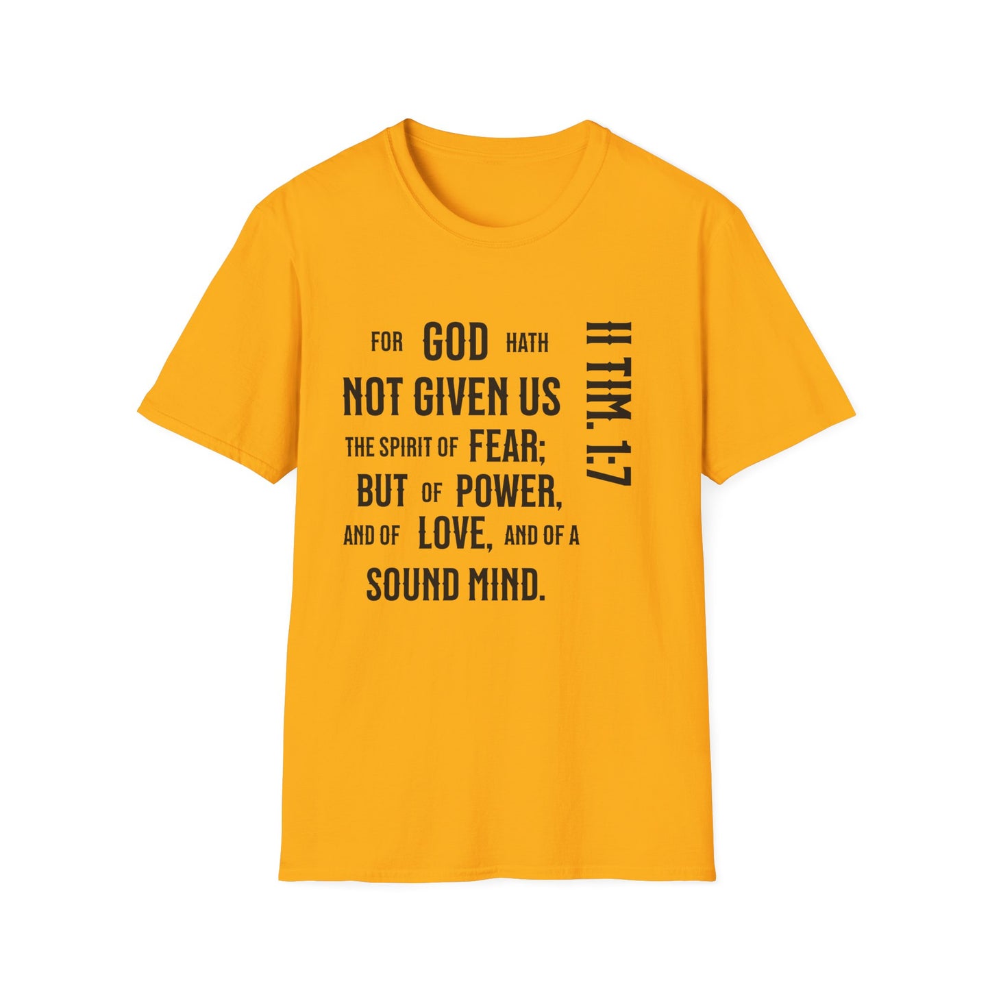 No Fear II Timothy 4:20, Unisex Softstyle T-Shirt