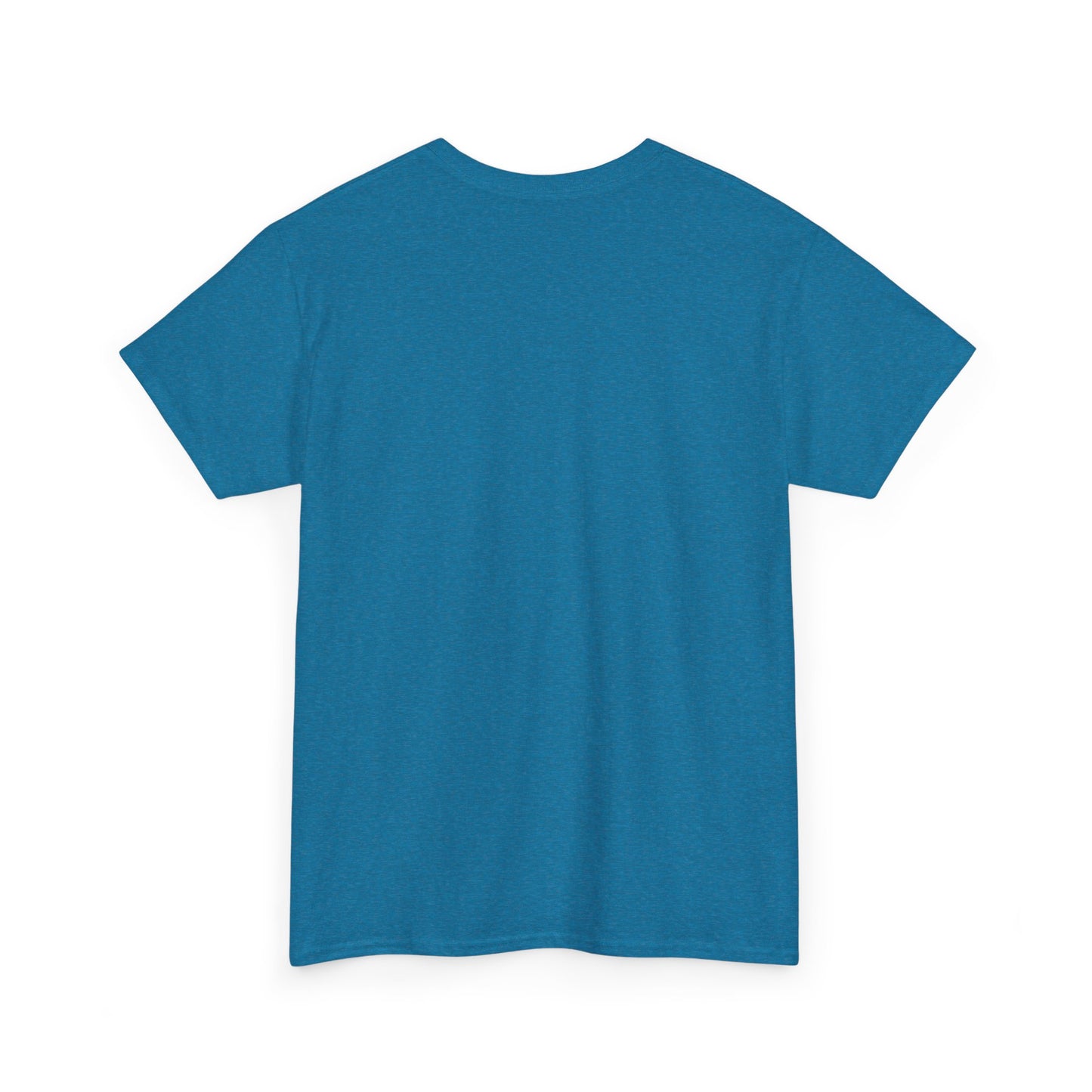 Fun in the Sun Unisex Heavy Cotton Tee, vacation, beach day, weekend getaway