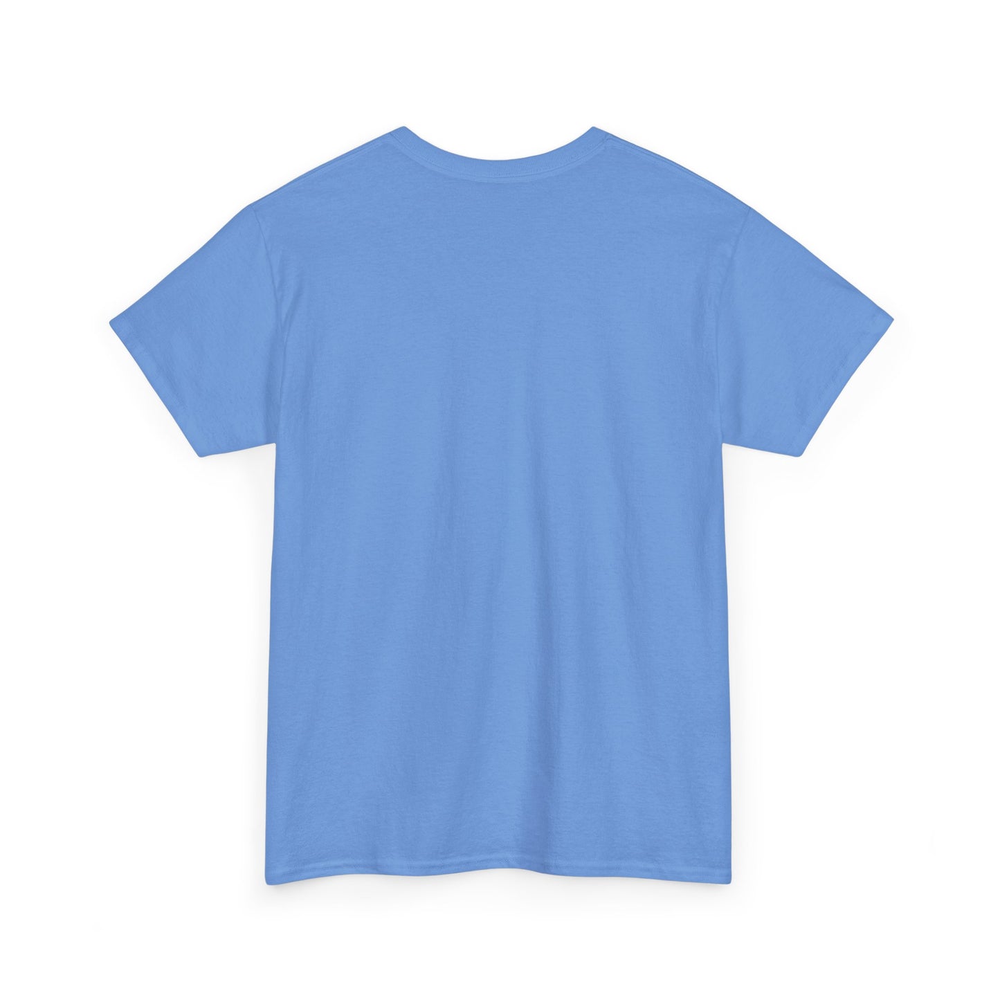 Fun in the Sun Unisex Heavy Cotton Tee, vacation, beach day, weekend getaway