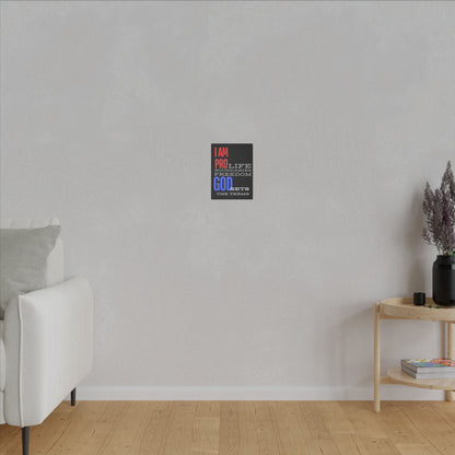I AM PRO GOD, Matte Canvas, Stretched 0.75", wall art