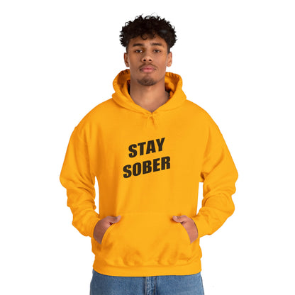 Stay Sober Hooded Sweatshirt, Christian gift, encouragement