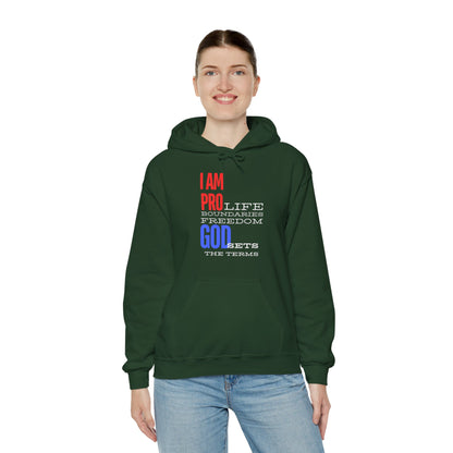 I AM PRO GOD, Unisex Heavy Blend™ Hooded Sweatshirt, life, boundaries, freedom