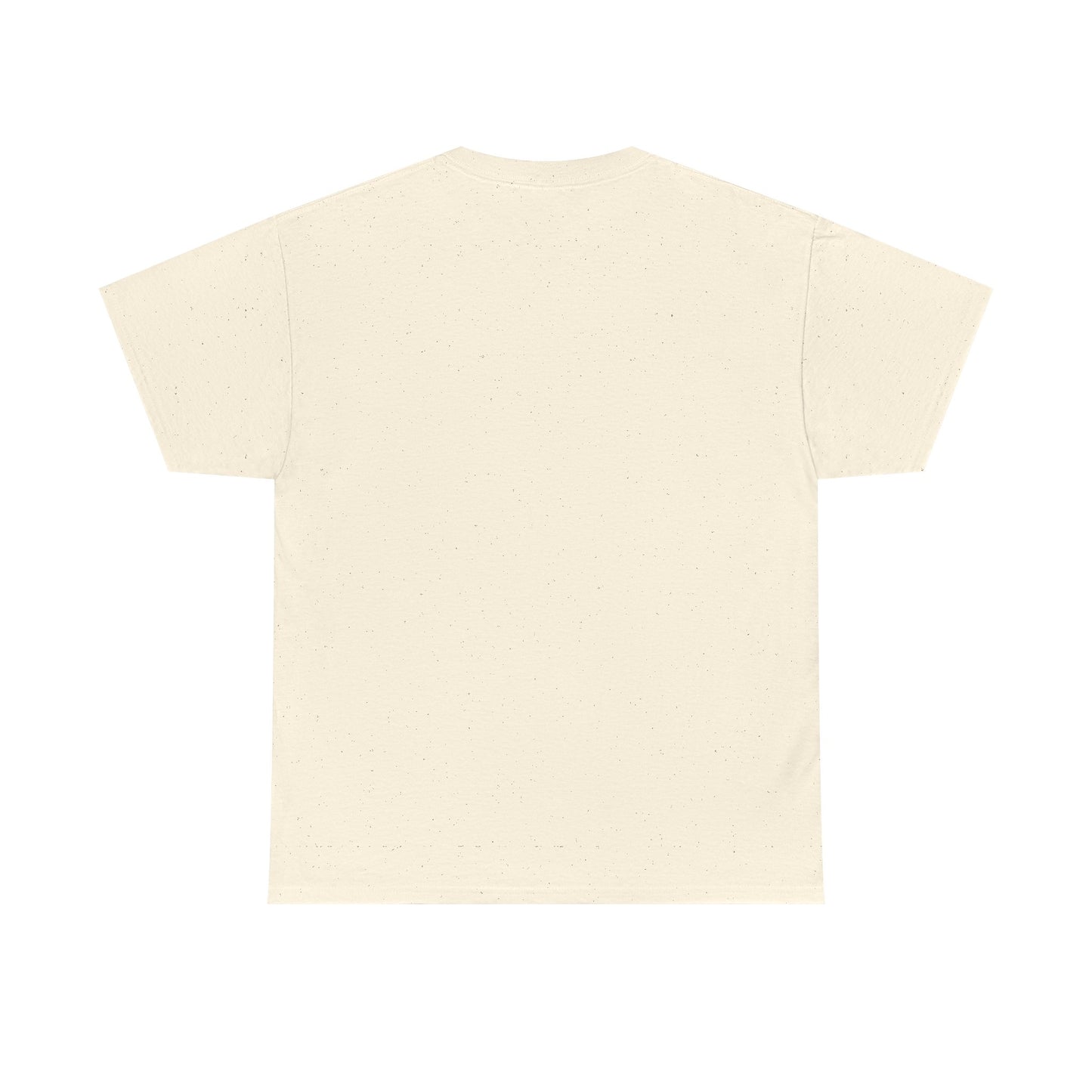 Fun in the Sun Unisex Heavy Cotton Tee, vacation, beach day, weekend getaway