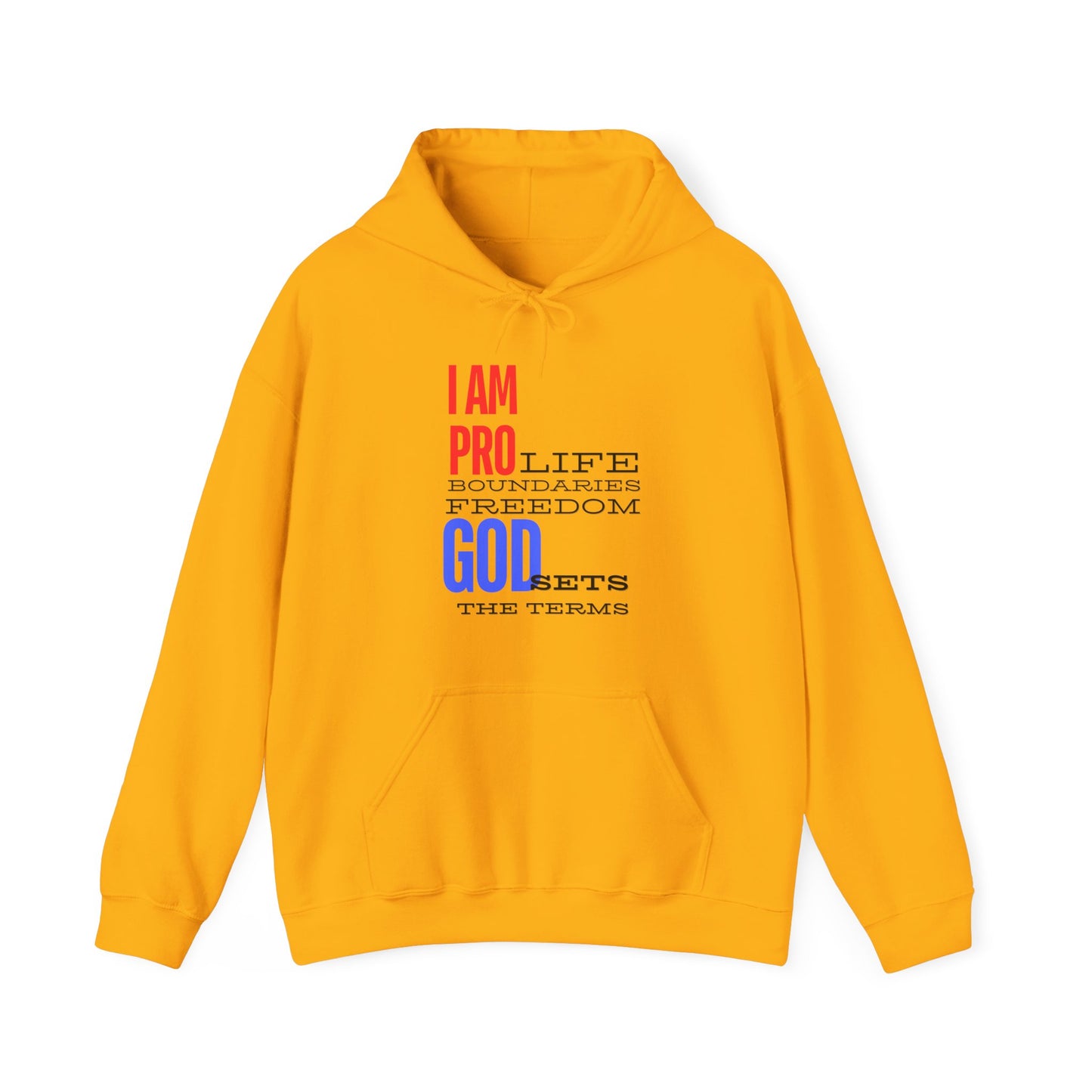 I AM PRO GOD, Unisex Heavy Blend™ Hooded Sweatshirt, life, boundaries, freedom