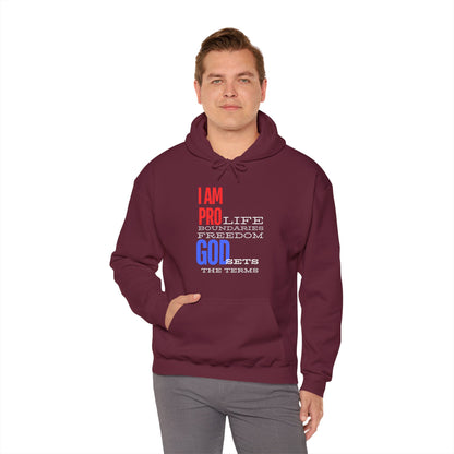 I AM PRO GOD, Unisex Heavy Blend™ Hooded Sweatshirt, life, boundaries, freedom