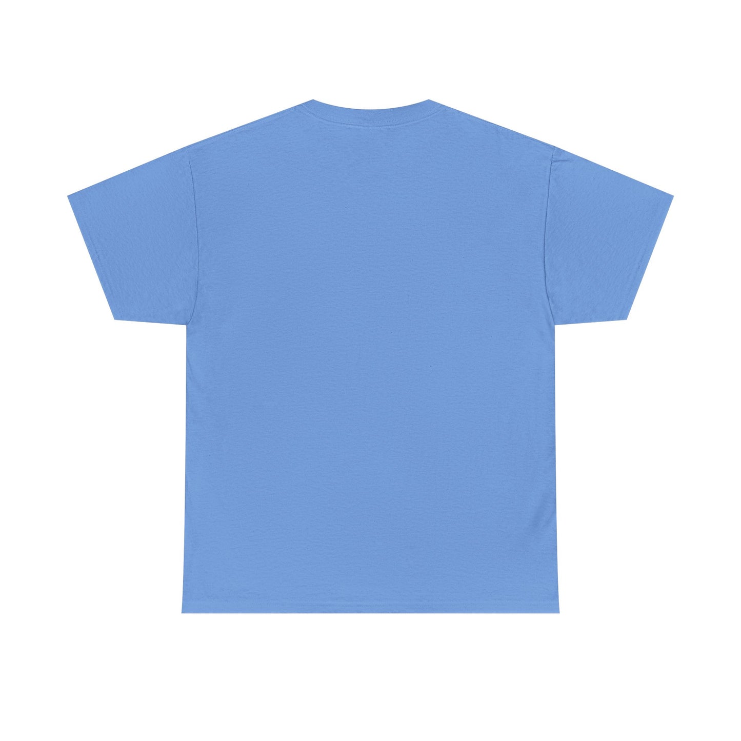 Fun in the Sun Unisex Heavy Cotton Tee, vacation, beach day, weekend getaway