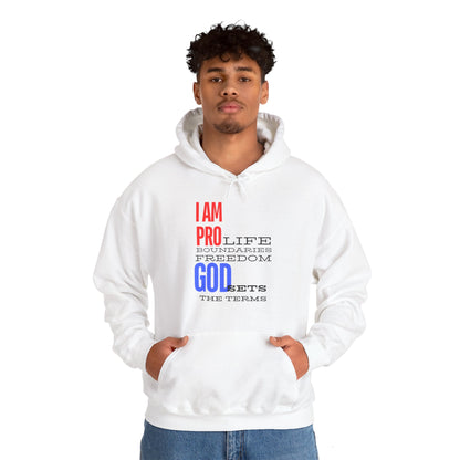 I AM PRO GOD, Unisex Heavy Blend™ Hooded Sweatshirt, life, boundaries, freedom