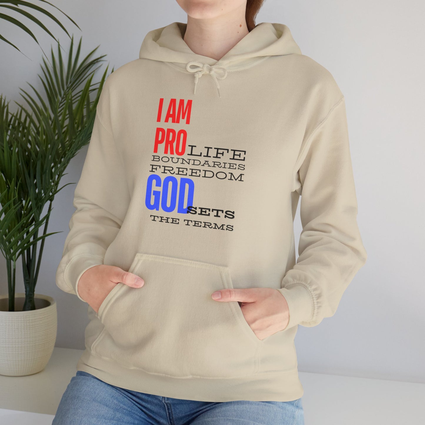 I AM PRO GOD, Unisex Heavy Blend™ Hooded Sweatshirt, life, boundaries, freedom